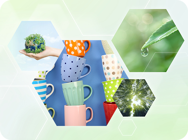 Sustainability